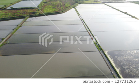 Aerial photography of rice fields and irrigation channels after rice planting using a drone Aerial photography of rice fields and irrigation channels after rice planting using a drone 127731269