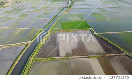 Aerial photography of rice fields and irrigation channels after rice planting using a drone Aerial photography of rice fields and irrigation channels after rice planting using a drone 127731270
