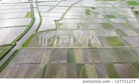 使用無人機對水稻插秧後的稻田和灌溉渠道進行航拍 127731277