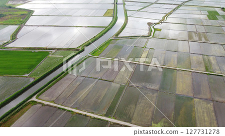 使用無人機對水稻插秧後的稻田和灌溉渠道進行航拍 127731278
