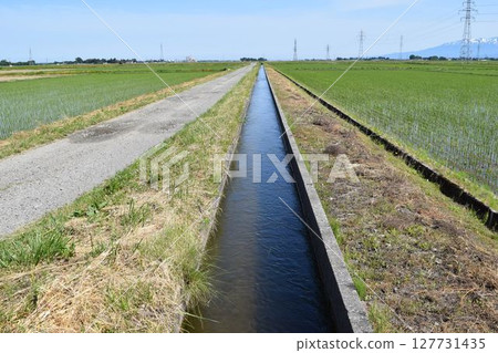 Farm roads and agricultural waterways Rural scenery Farm roads and agricultural waterways Rural scenery 127731435
