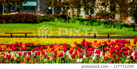 Canada, Old Quebec City tourist attractions, and beautiful architecture 127732204