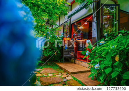 Café with hydrangeas in bloom 127732600