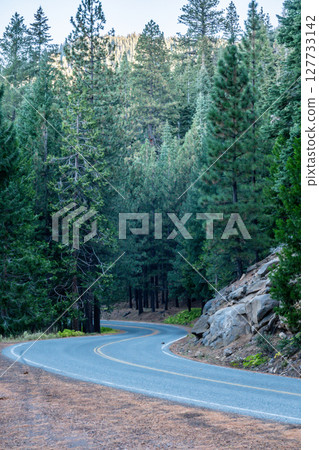 Shasta-Trinity National Forest  and landscapes 127733142
