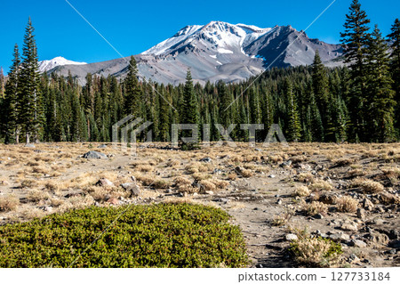 mount shasta wilderness in northern california mount shasta wilderness in northern california 127733184