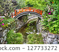 Feel the greenery of Kyoto in early summer 127733272