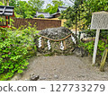 Feel the greenery of Kyoto in early summer 127733279