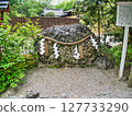 Feel the greenery of Kyoto in early summer 127733290