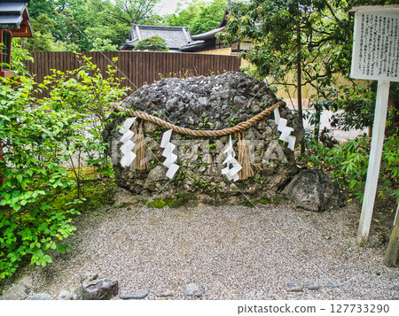 Feel the greenery of Kyoto in early summer 127733290