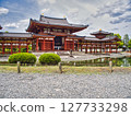 Feel the greenery of Kyoto in early summer 127733298