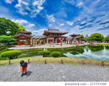 Feel the greenery of Kyoto in early summer 127733300