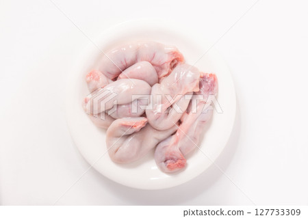 (家養)仔豬 (家養)仔豬 127733309