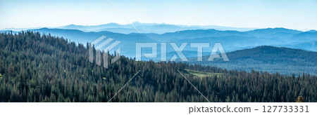 Shasta-Trinity National Forest  and landscapes 127733331