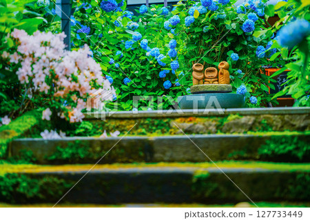 守護著樓梯的地藏菩薩像和繡球花 127733449