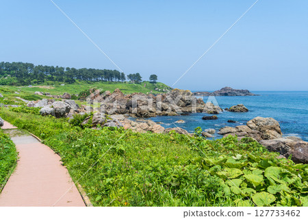 "Aomori Prefecture" Flowers bloom on the shore in early summer at Tanesashi Coast, Hachinohe City 127733462