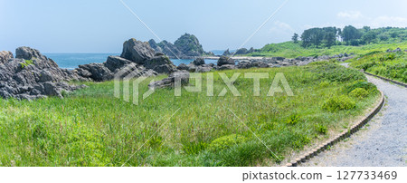 青森縣八戶市種差海岸初夏鮮花盛開 127733469