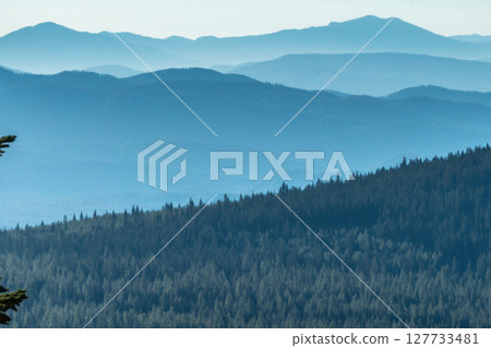 Shasta-Trinity National Forest and landscapes Shasta-Trinity National Forest and landscapes 127733481