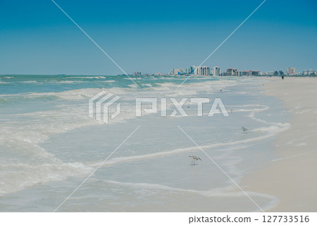 hotels and beach scenes at clearwater florida hotels and beach scenes at clearwater florida 127733516