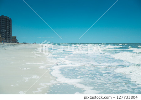 hotels and beach scenes at clearwater florida hotels and beach scenes at clearwater florida 127733804