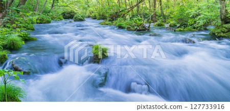 "Aomori Prefecture" Oirase Gorge and Sanran Flow in Early Summer, Towada City 127733916
