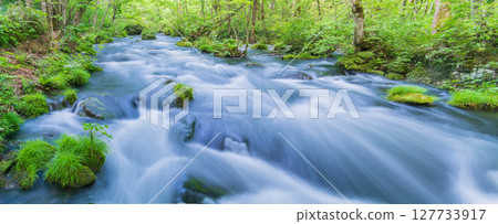 "Aomori Prefecture" Oirase Gorge and Sanran Flow in Early Summer, Towada City "Aomori Prefecture" Oirase Gorge and Sanran Flow in Early Summer, Towada City 127733917