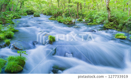 "Aomori Prefecture" Oirase Gorge and Sanran Flow in Early Summer, Towada City 127733919
