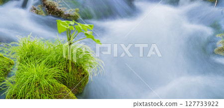 "Aomori Prefecture" Oirase Gorge and Sanran Flow in Early Summer, Towada City "Aomori Prefecture" Oirase Gorge and Sanran Flow in Early Summer, Towada City 127733922