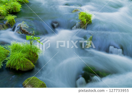 "Aomori Prefecture" Oirase Gorge and Sanran Flow in Early Summer, Towada City 127733955