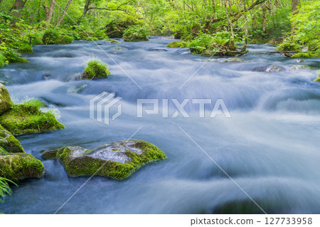 "Aomori Prefecture" Oirase Gorge and Sanran Flow in Early Summer, Towada City 127733958