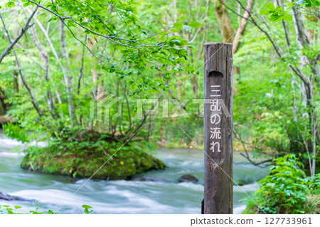 青森縣 十和田市 初夏的奧入瀨溪流與三亂流 127733961