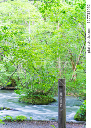 "Aomori Prefecture" Oirase Gorge and Sanran Flow in Early Summer, Towada City 127733962