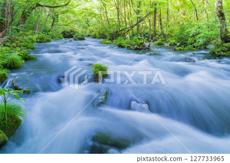 "Aomori Prefecture" Oirase Gorge and Sanran Flow in Early Summer, Towada City 127733965