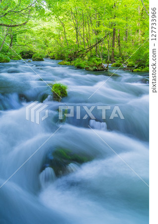 青森縣 十和田市 初夏的奧入瀨溪流與三亂流 127733966
