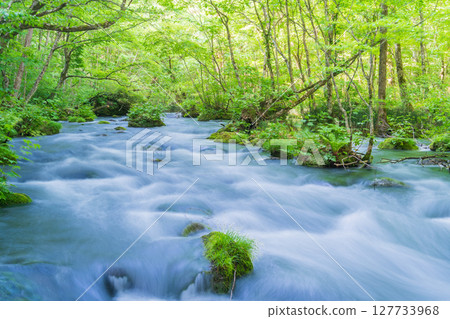 "Aomori Prefecture" Oirase Gorge and Sanran Flow in Early Summer, Towada City "Aomori Prefecture" Oirase Gorge and Sanran Flow in Early Summer, Towada City 127733968