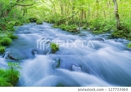 青森縣 十和田市 初夏的奧入瀨溪流與三亂流 127733969