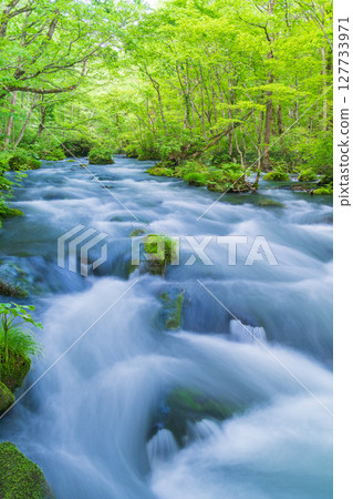 青森縣 十和田市 初夏的奧入瀨溪流與三亂流 127733971