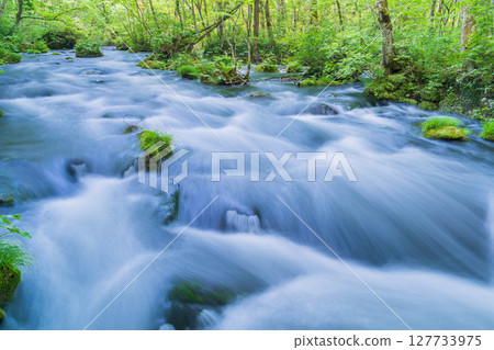 "Aomori Prefecture" Oirase Gorge and Sanran Flow in Early Summer, Towada City 127733975