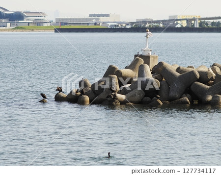 Vans lined up on tetrapods Vans lined up on tetrapods 127734117