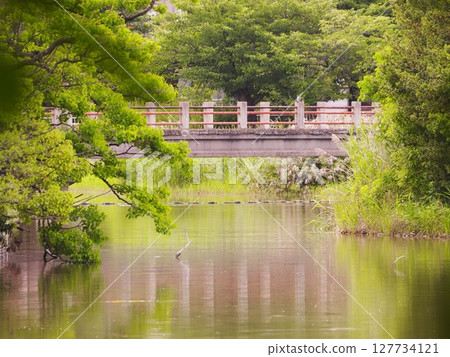 在池塘上的橋 127734121