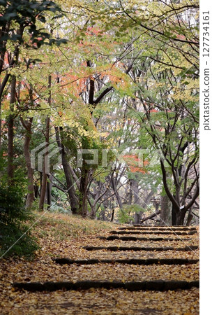 漫步落葉間，令人心曠神怡 127734161