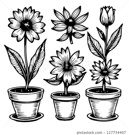 Elegant Floral Line Art: Black and White Vector Illustration of Potted Flowers Elegant Floral Line Art: Black and White Vector Illustration of Potted Flowers 127734407