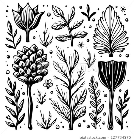 Botanical Sketches: A Variety of Hand-Drawn Floral Elements and Plant Illustrations 127734570