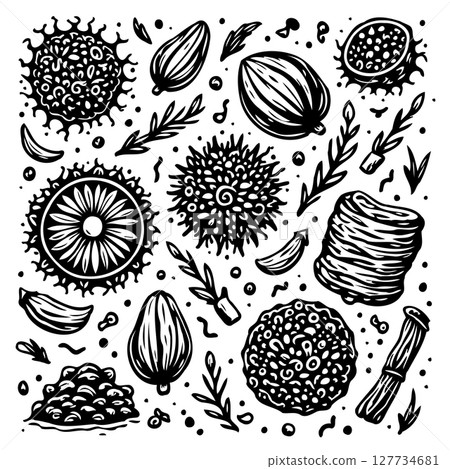 Exotic Spices and Herbs: A Hand-Drawn Collection for Culinary and Botanical Designs Exotic Spices and Herbs: A Hand-Drawn Collection for Culinary and Botanical Designs 127734681