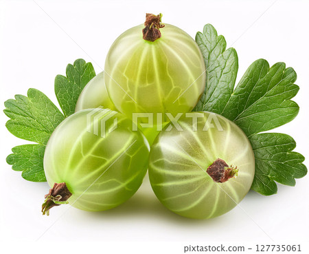 Three ripe green gooseberries with a leaf, isolated on a white background Three ripe green gooseberries with a leaf, isolated on a white background 127735061