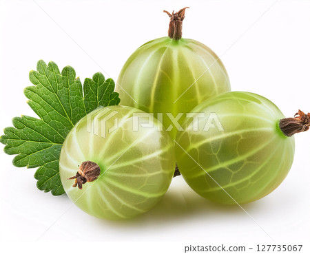 Three ripe green gooseberries with a leaf, isolated on a white background 127735067