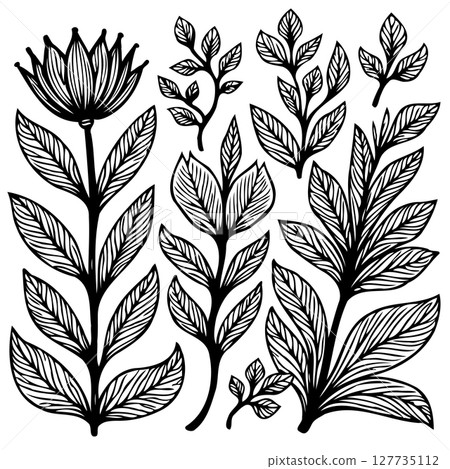 Botanical Vector Art: Decorative Floral and Leaf Illustration Elements Collection 127735112