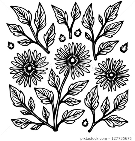 Elegant floral vector illustration with detailed line art of flowers and leaves Elegant floral vector illustration with detailed line art of flowers and leaves 127735675