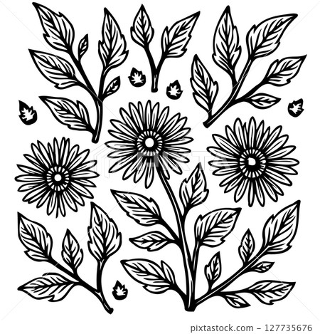 Black and white floral vector elements illustration for design and decoration 127735676