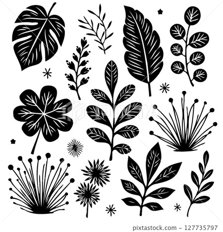 Black and White Botanical Illustrations: Diverse Leaves and Floral Elements Black and White Botanical Illustrations: Diverse Leaves and Floral Elements 127735797