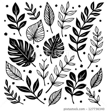 Botanical Variety: A Collection of Black and White Leaf Illustrations and Decorative Elements Botanical Variety: A Collection of Black and White Leaf Illustrations and Decorative Elements 127736340